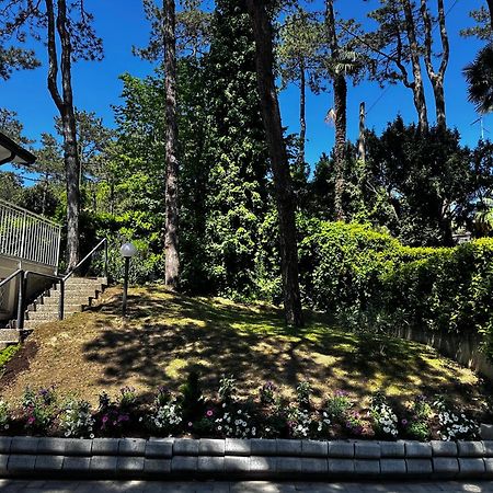 Villa Greif Pineta لينانو سابيادورو المظهر الخارجي الصورة