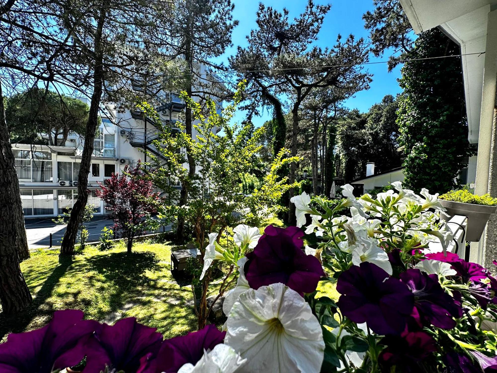 Villa Greif Pineta لينانو سابيادورو المظهر الخارجي الصورة