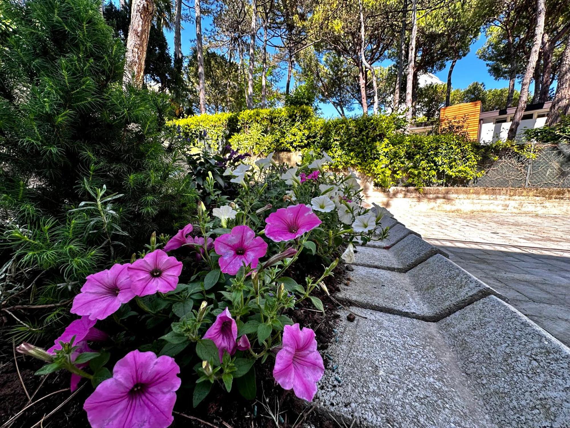 Villa Greif Pineta لينانو سابيادورو المظهر الخارجي الصورة