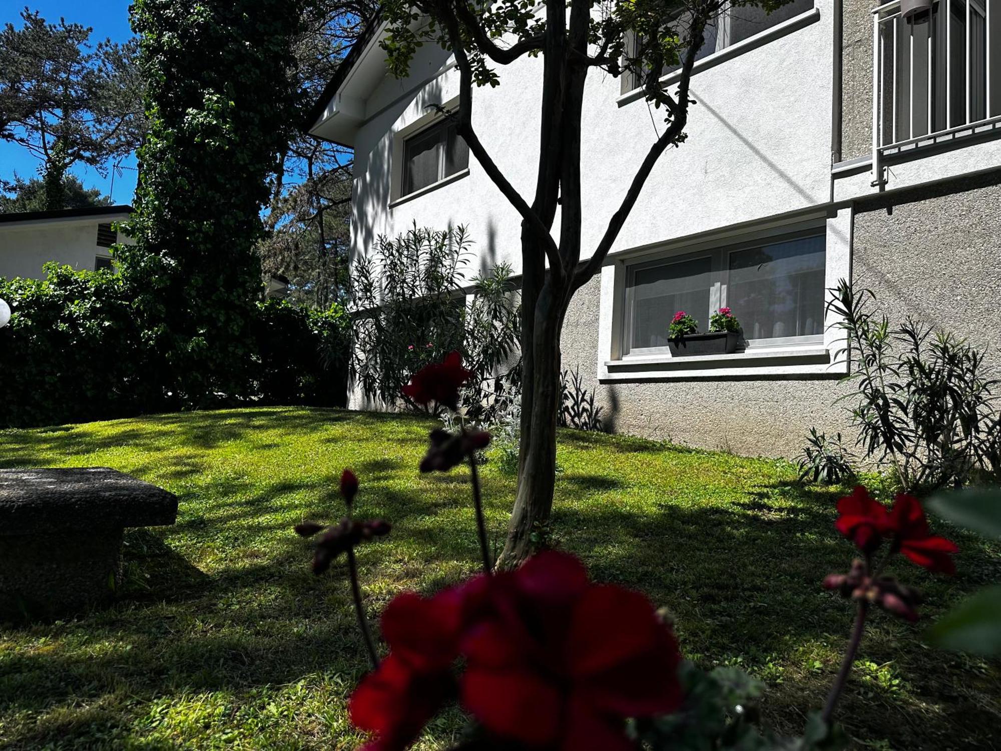 Villa Greif Pineta لينانو سابيادورو المظهر الخارجي الصورة